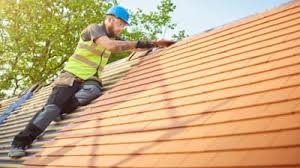 Best Roof Moss and Algae Removal  in Burley, WA