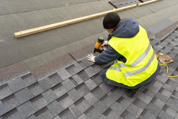 Best Asphalt Shingle Roofing  in Burley, WA