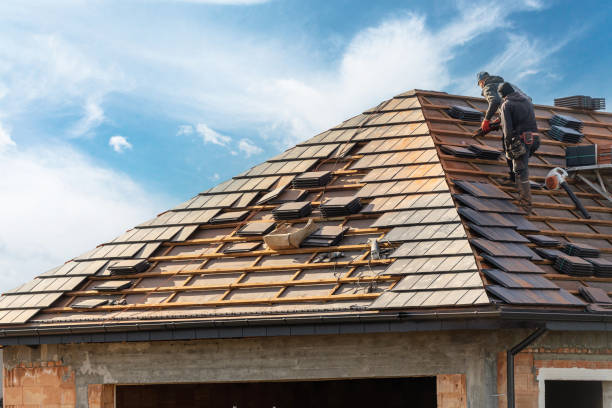 Best Metal Roofing Installation  in Burley, WA