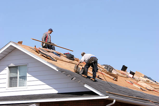 Best Storm Damage Roof Repair  in Burley, WA